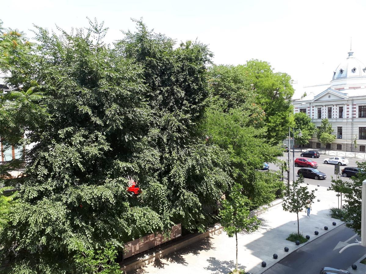 Studio Old Center بوخارست المظهر الخارجي الصورة