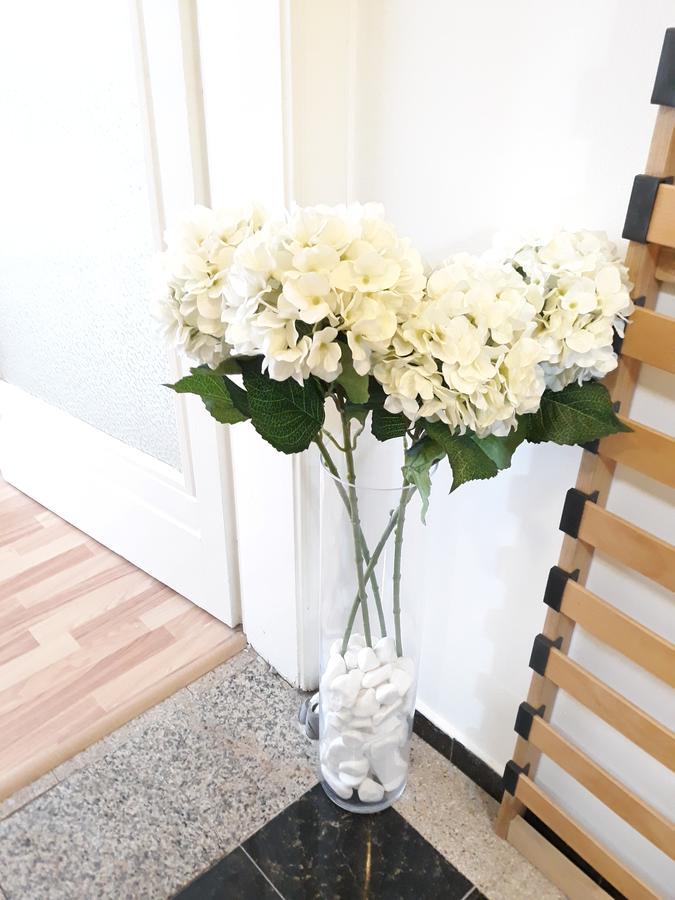 Studio Old Center بوخارست المظهر الخارجي الصورة